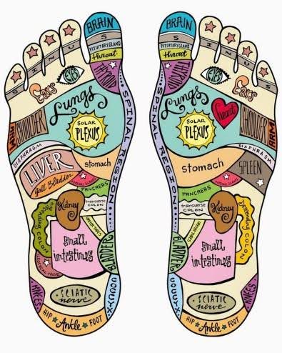 Colorful foot reflexology chart with labeled zones.